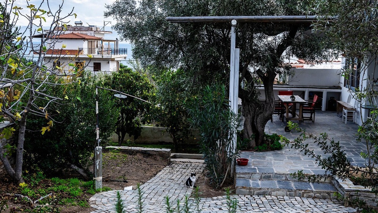 Photo of Outdoor in Limni Vouliagmenis