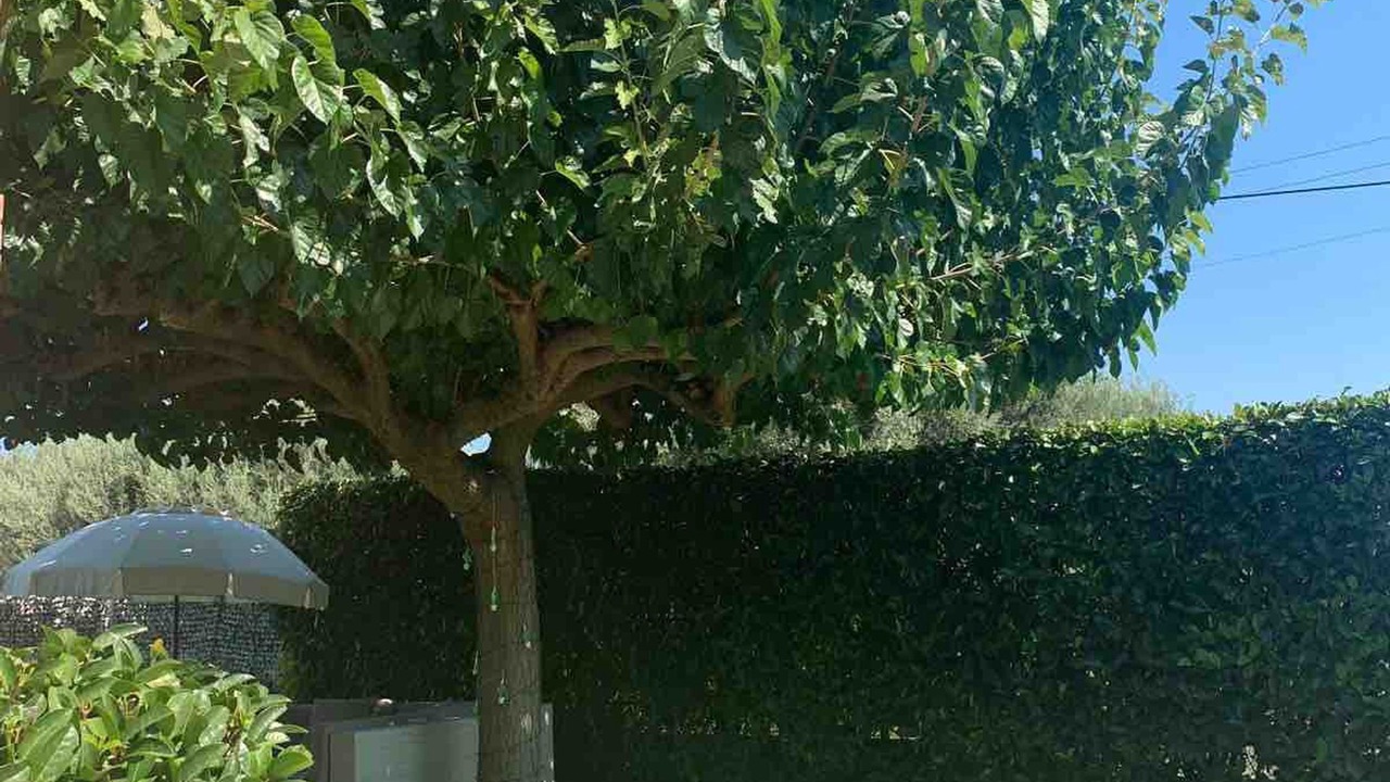 Photo of Outdoor in Lampiri