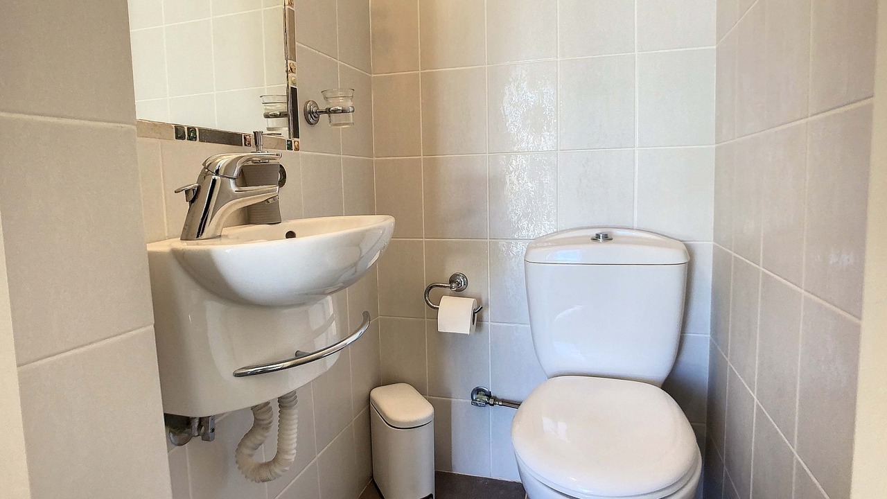 Photo of Bathroom in Plepi