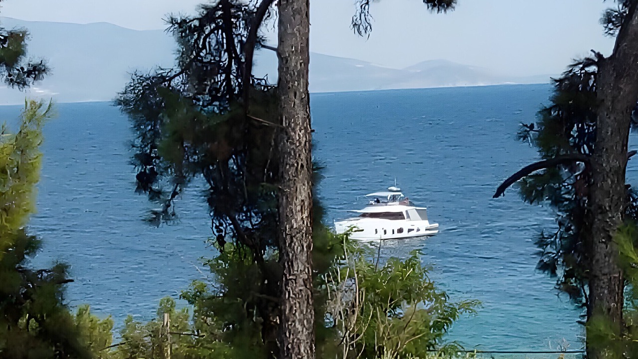 Photo of Others in Mytilene