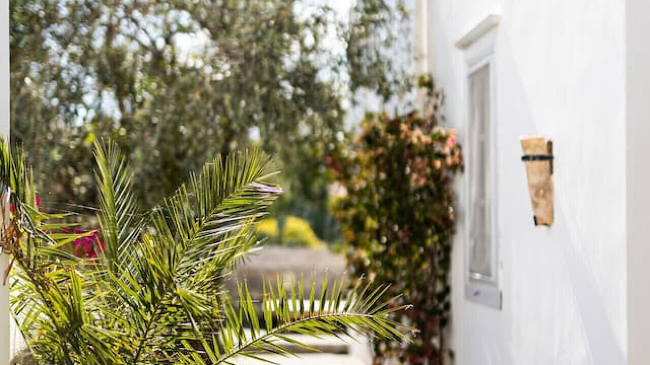 Photo of Outdoor in Hydra