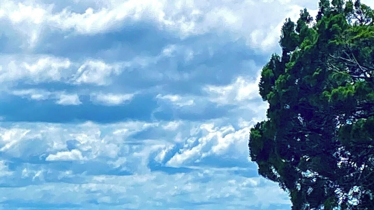 Photo of Others in Banksia Beach