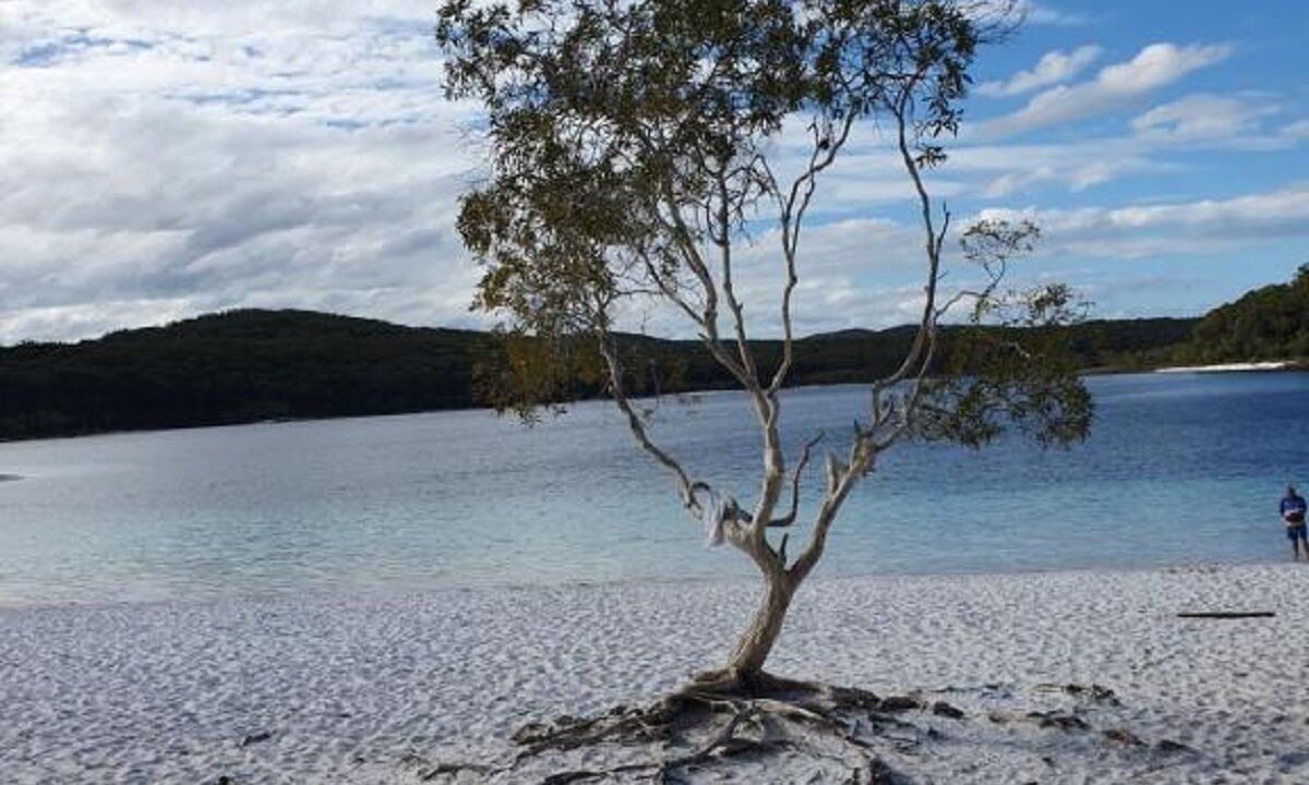 Photo of Others in Kingfisher Bay