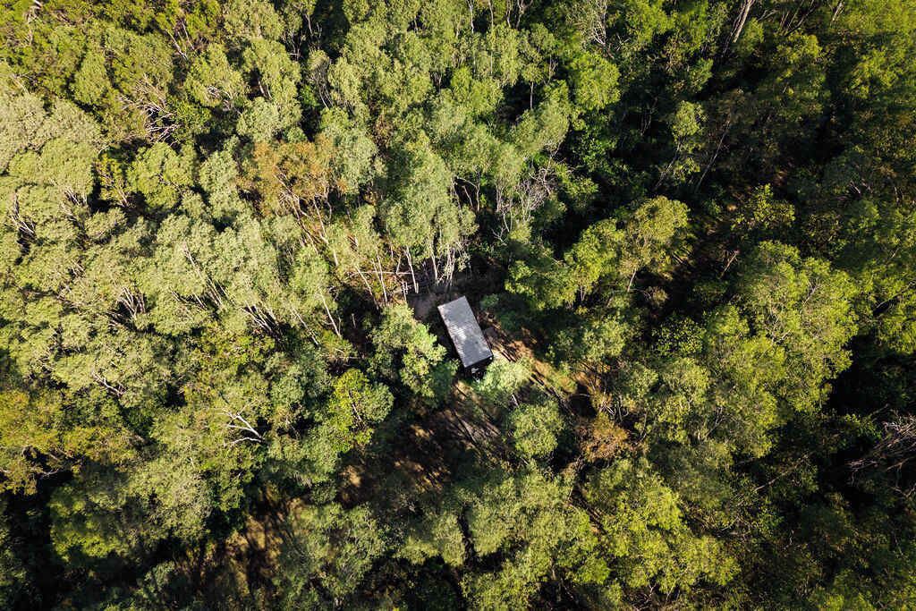 Photo of Outdoor in Tamborine