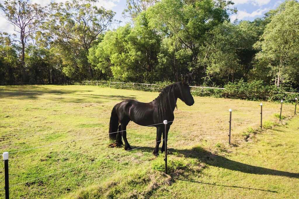 Photo of Others in Tamborine