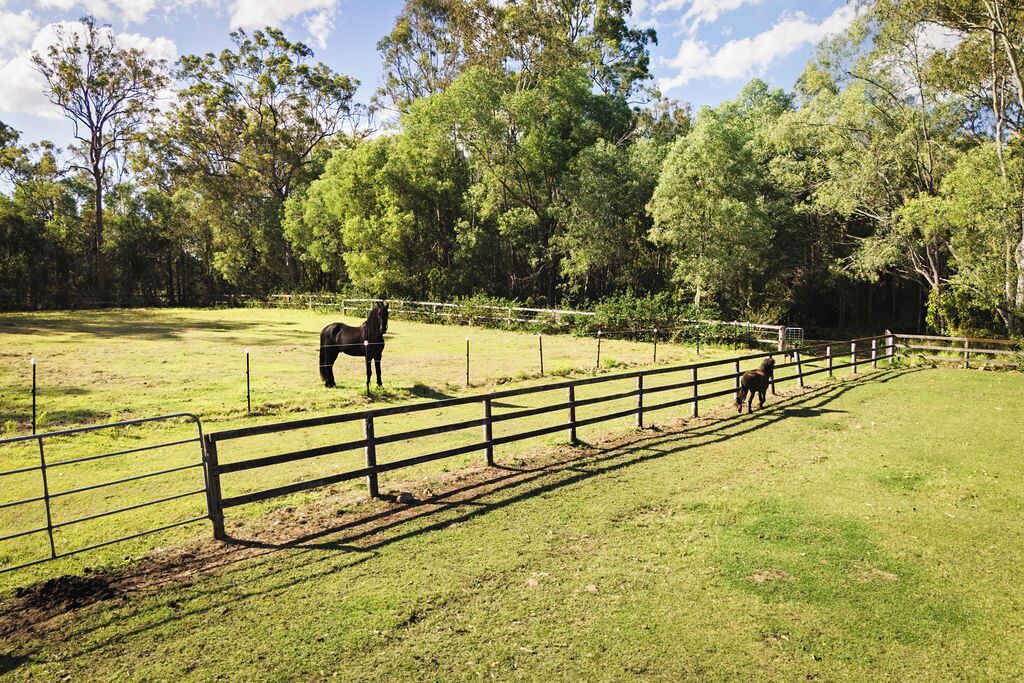 Photo of Others in Tamborine