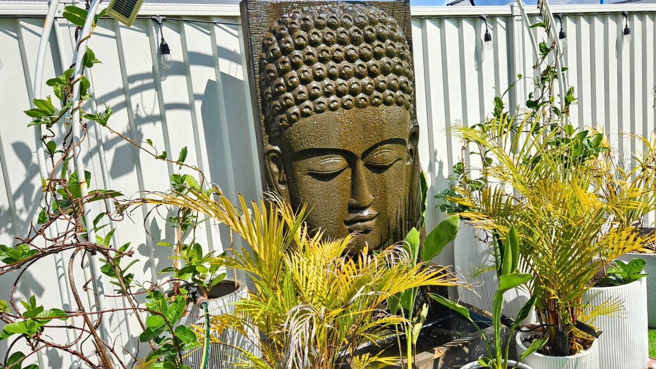 Photo of Outdoor in Mango Hill