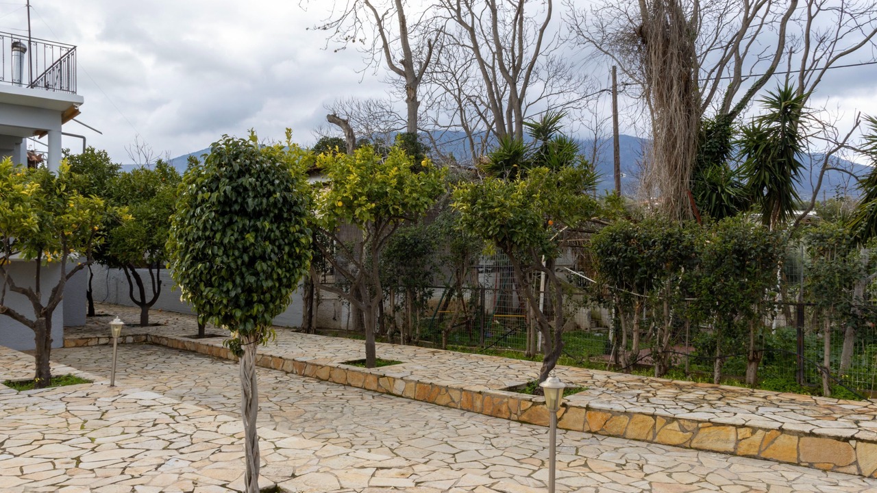Photo of Outdoor in Kato Alepochori