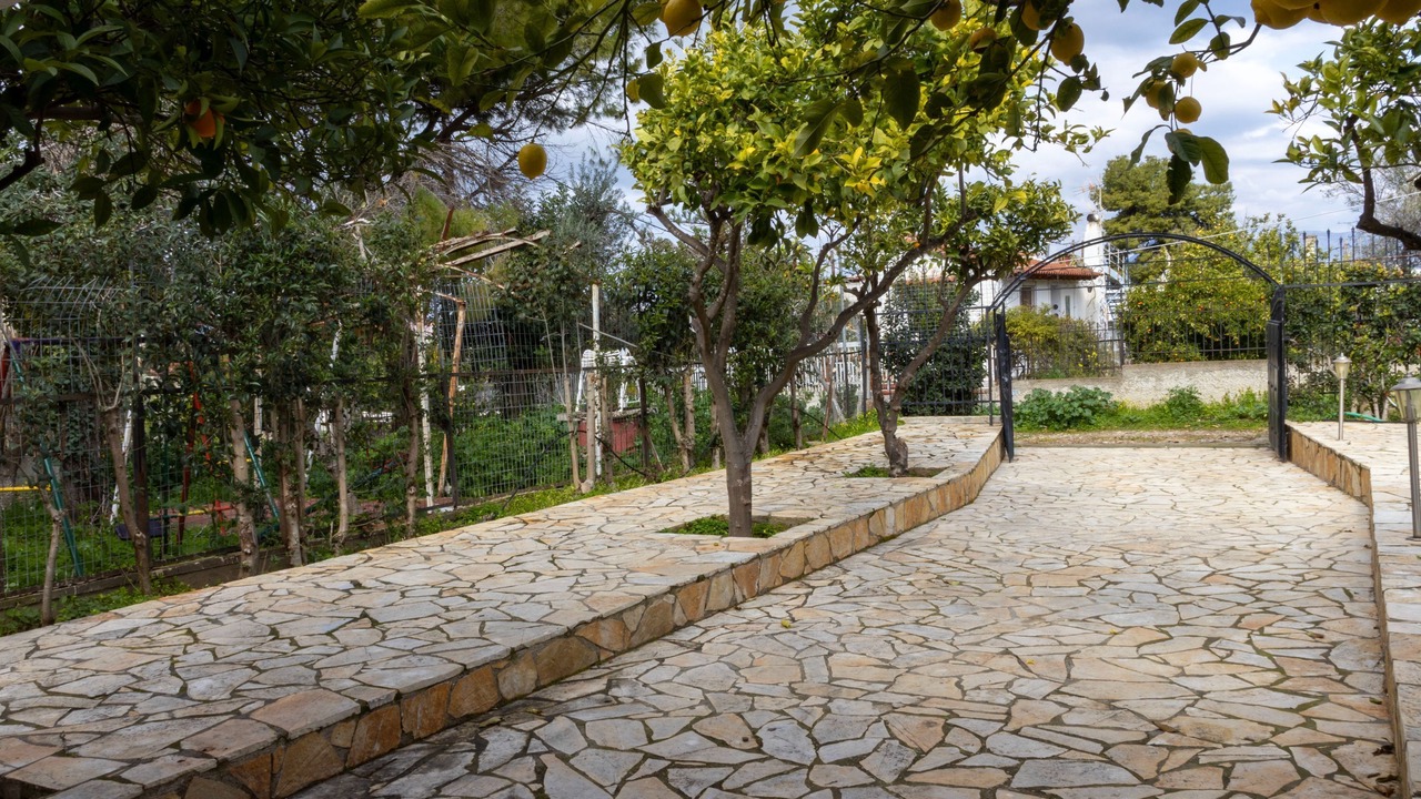 Photo of Outdoor in Kato Alepochori