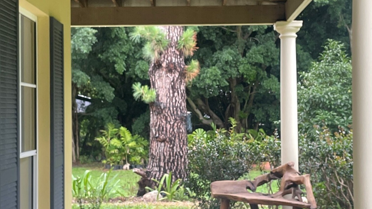 Photo of Patio Balcony in Highvale