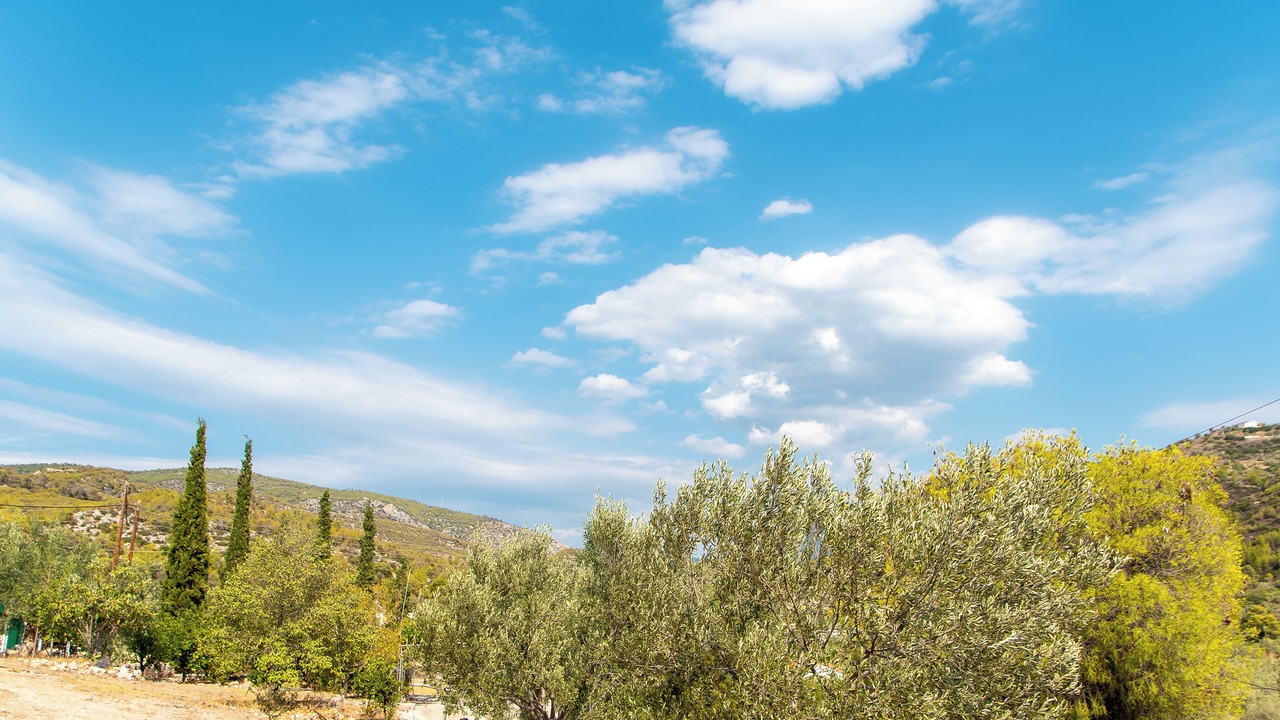 Photo of Others in Limni Vouliagmenis