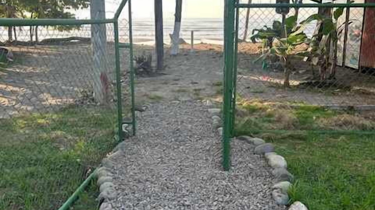 Photo of Outdoor in Esterillos Oeste