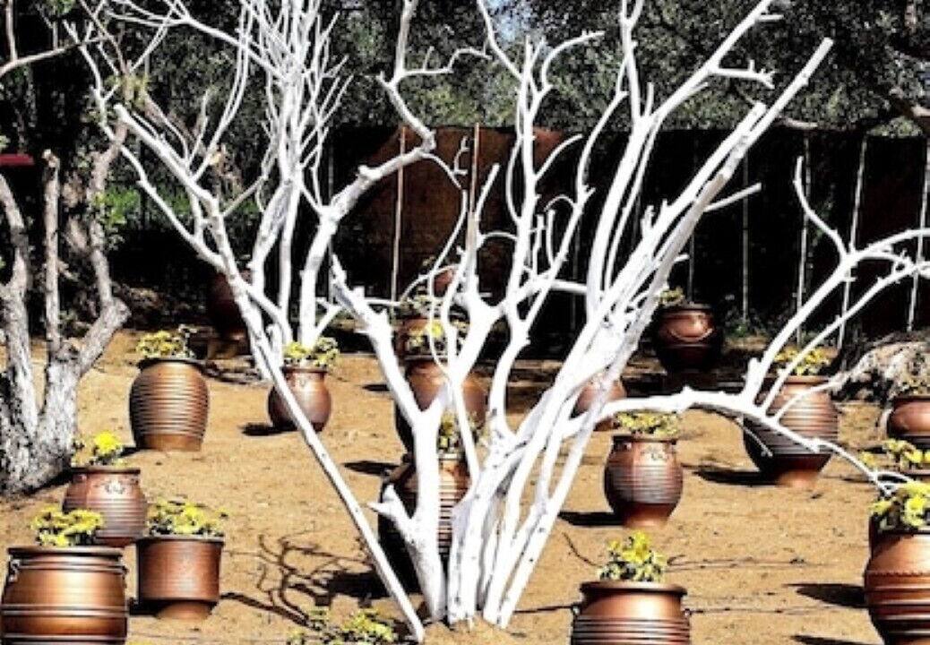 Photo of Outdoor in Loutra Edipsou