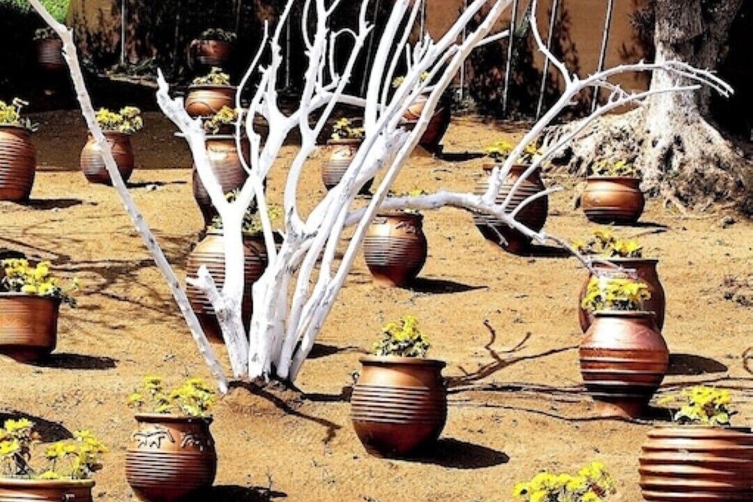Photo of Outdoor in Loutra Edipsou