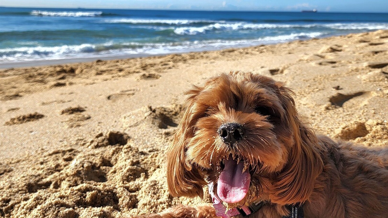 Photo of Others in Kings Beach