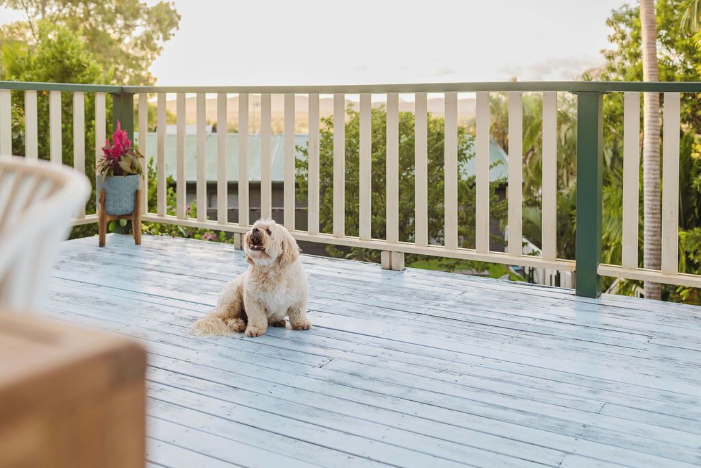 Photo of Outdoor in Sunshine Coast