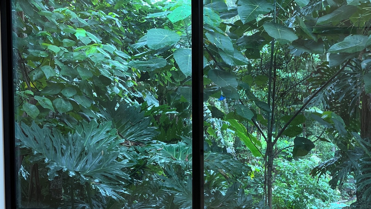 Photo of Others in Mooloolah Valley
