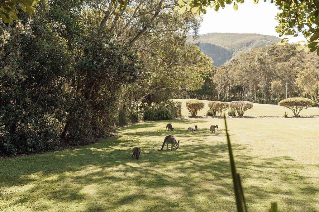 Photo of Others in Yaroomba