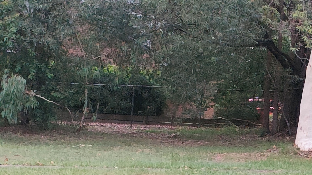 Photo of Others in Greenbank