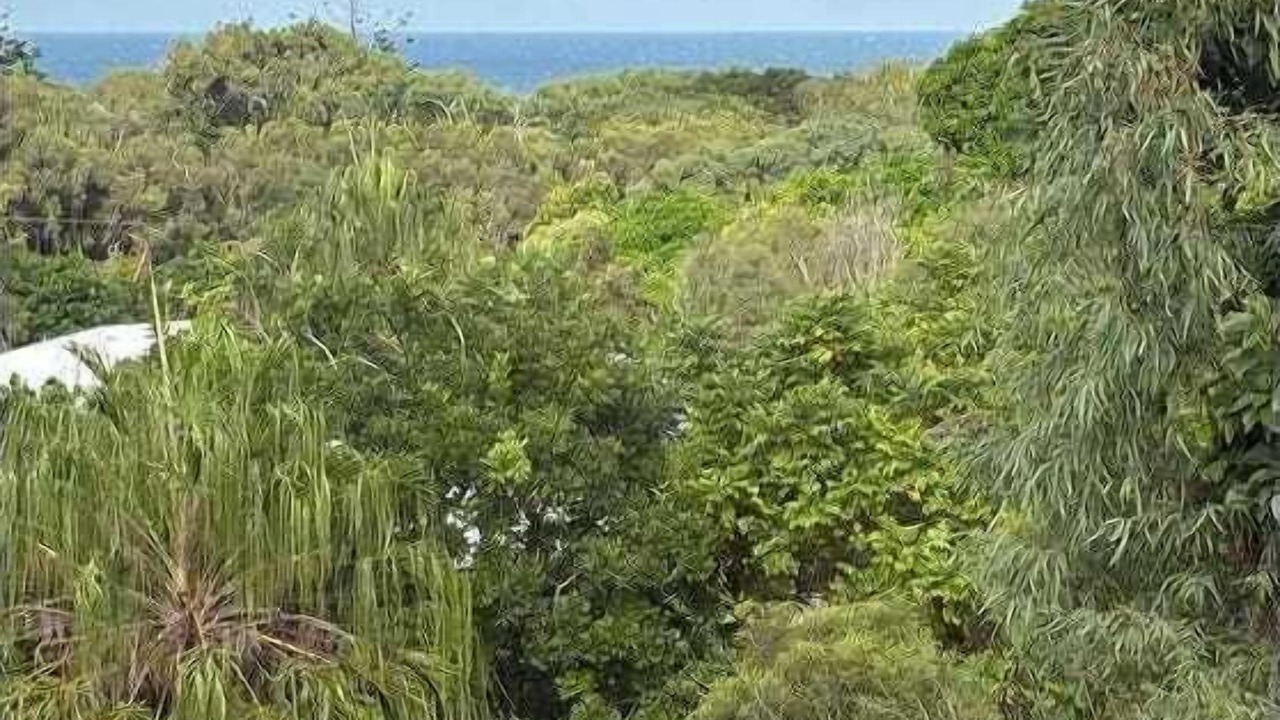 Photo of Others in Agnes Water