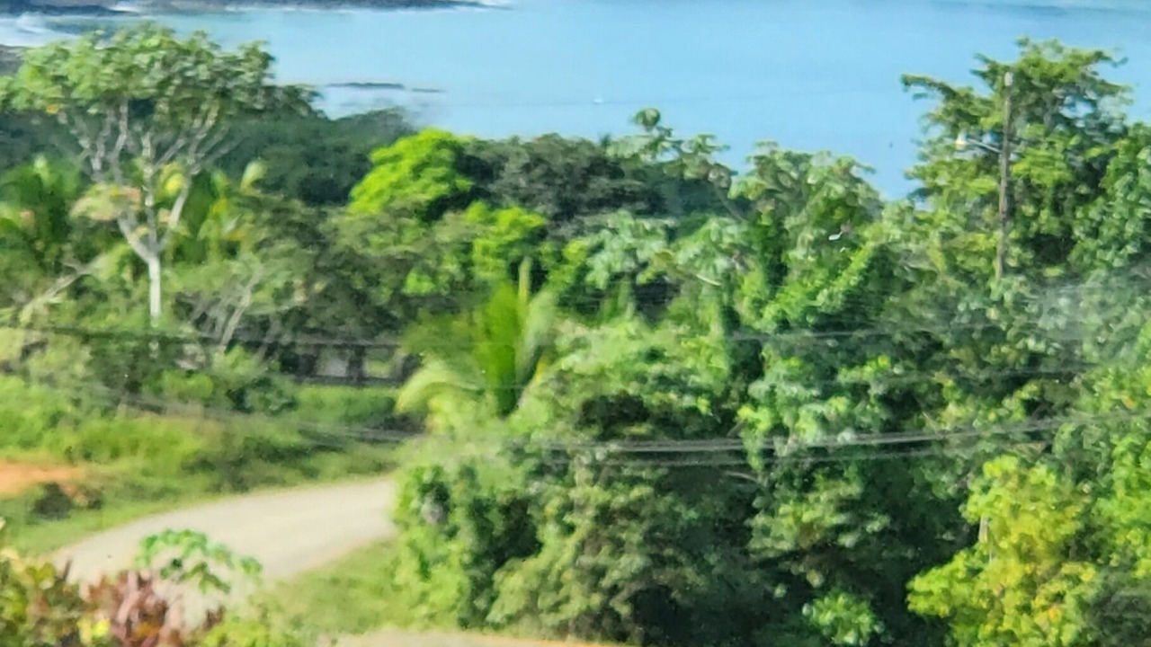 Photo of Others in Drake Bay