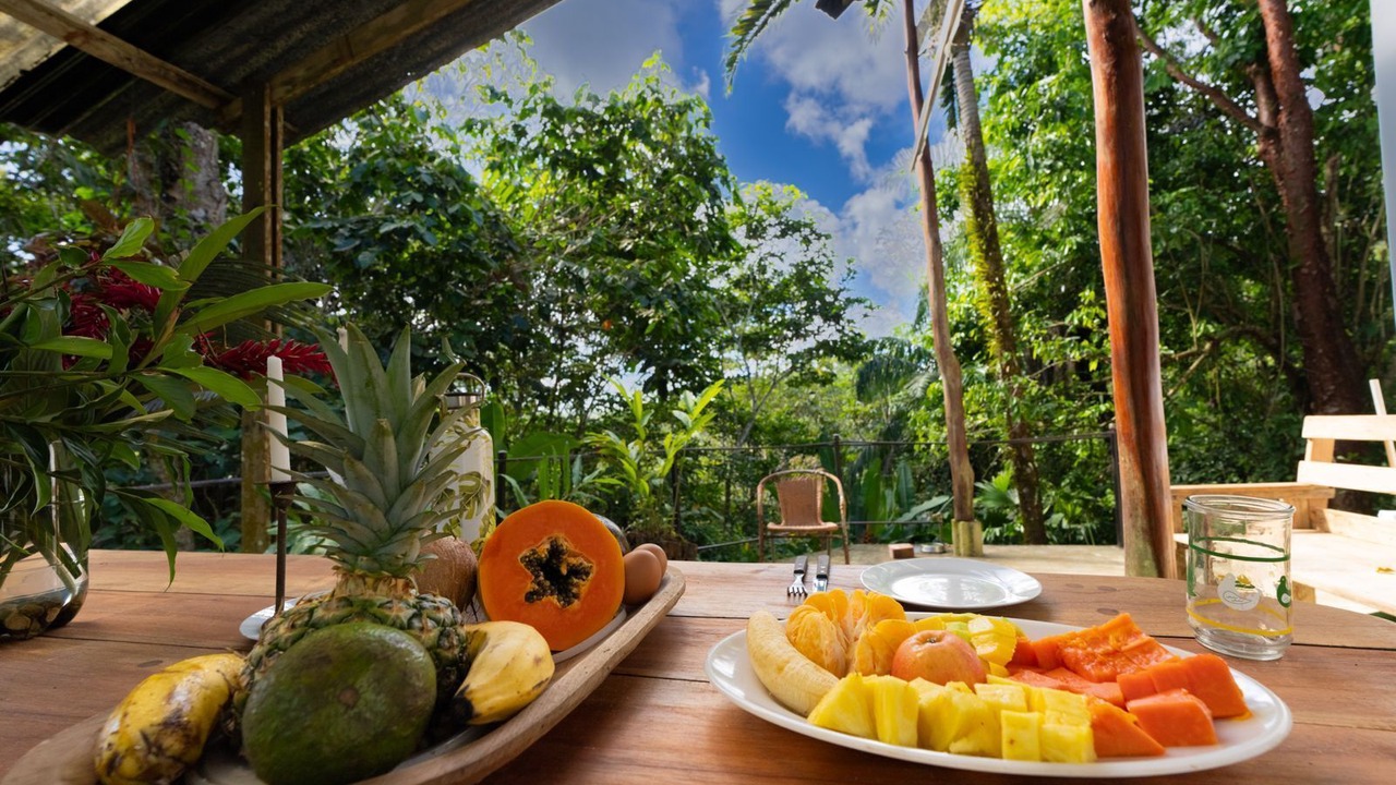 Photo of Outdoor in Puerto Jimenez