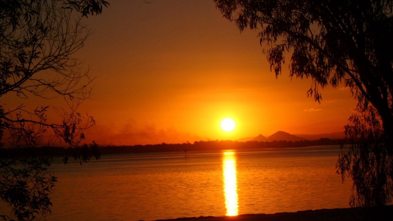 Photo of Others in Banksia Beach