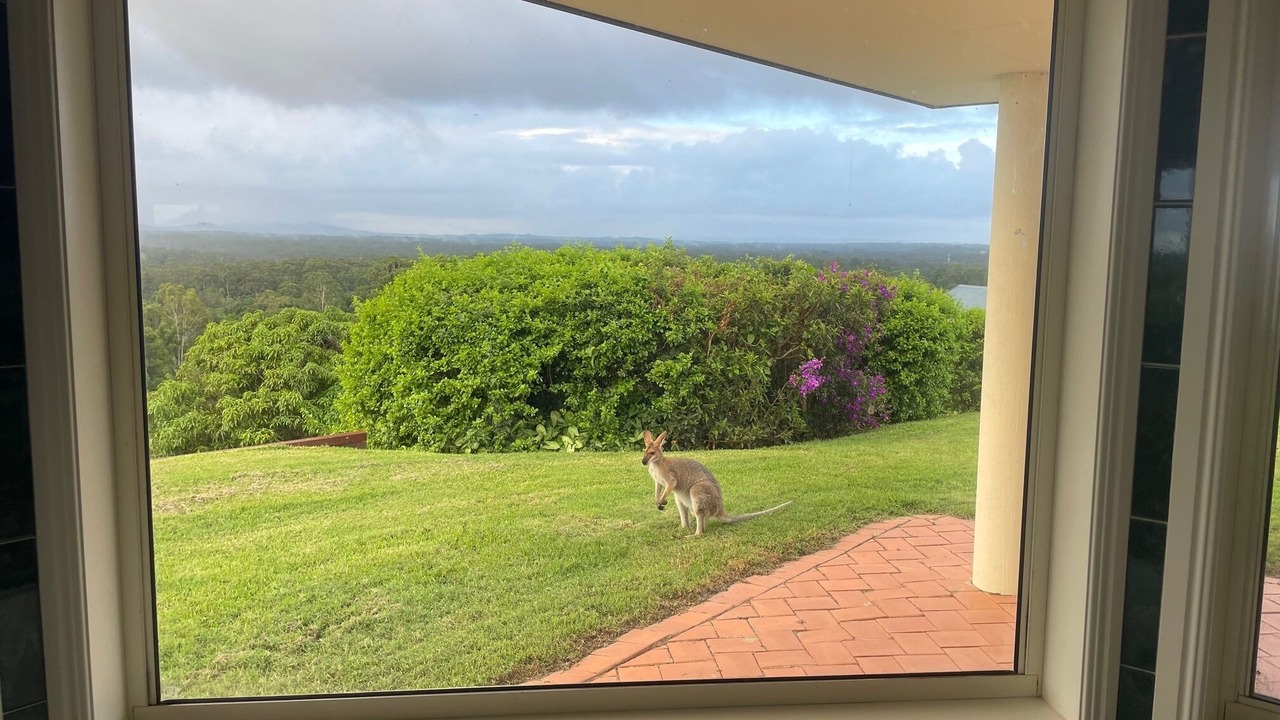 Photo of Others in Cooroy