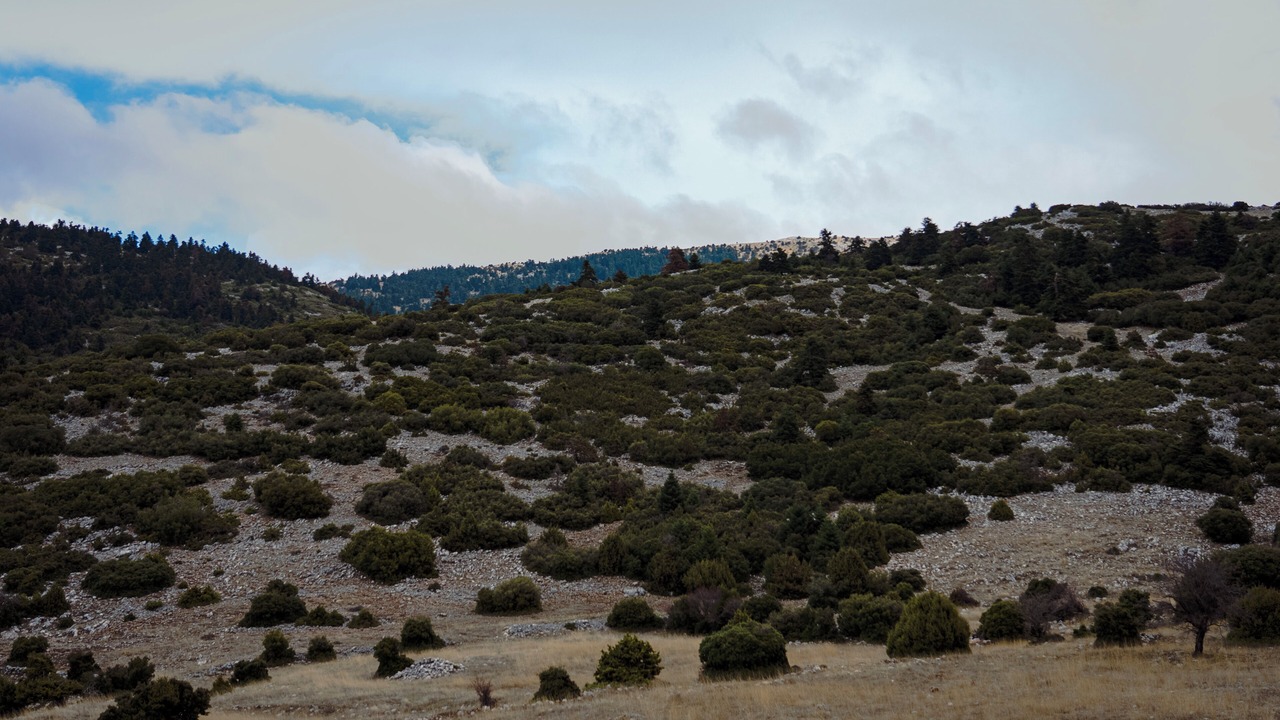 Photo of Others in Arachova