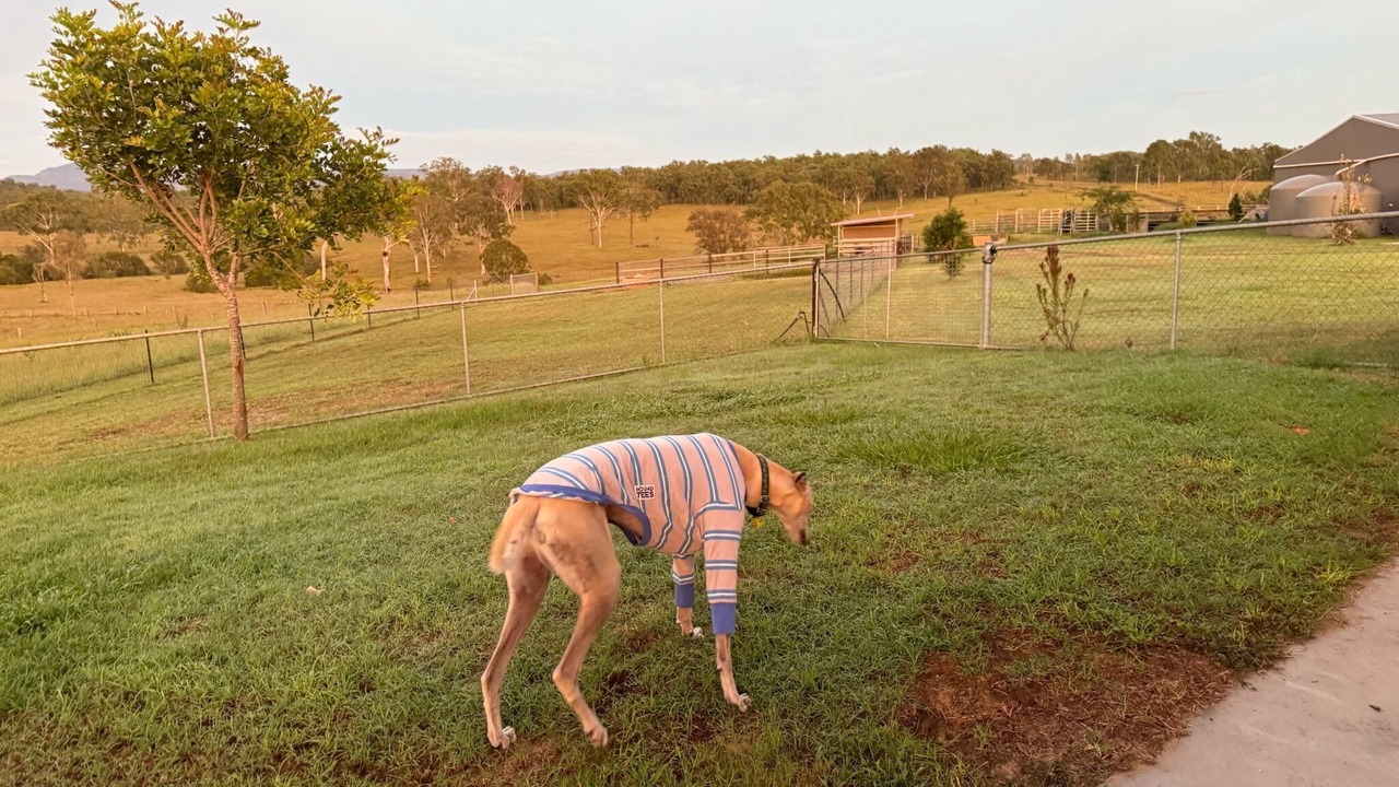 Photo of Outdoor in Rosevale