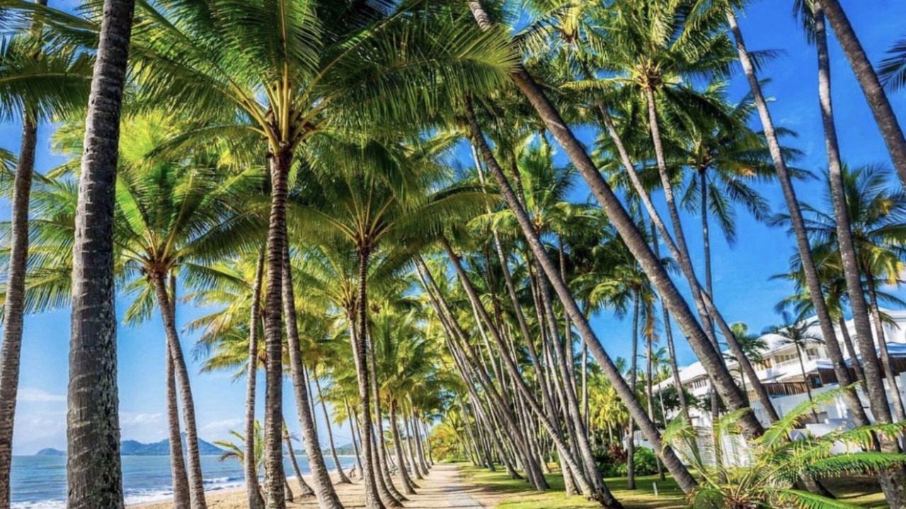 Photo of Others in Palm Cove