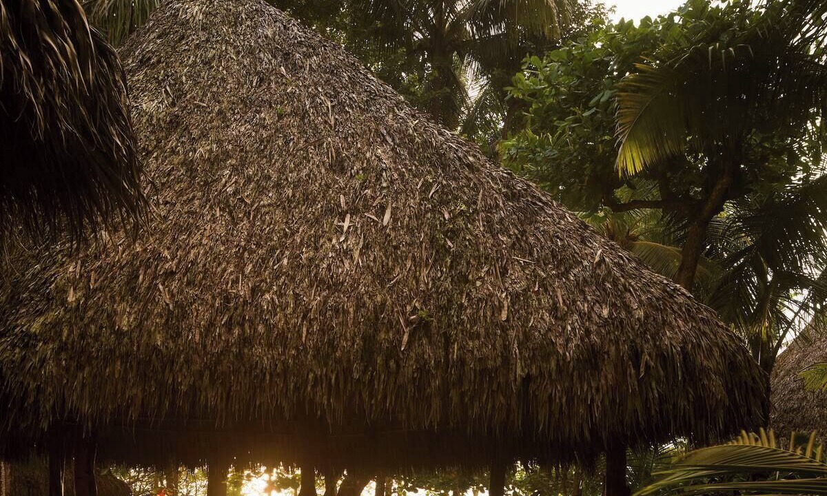 Photo of Outdoor in Santa Teresa