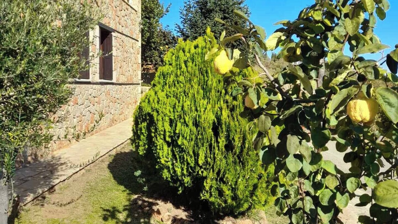 Photo of Outdoor in Egira