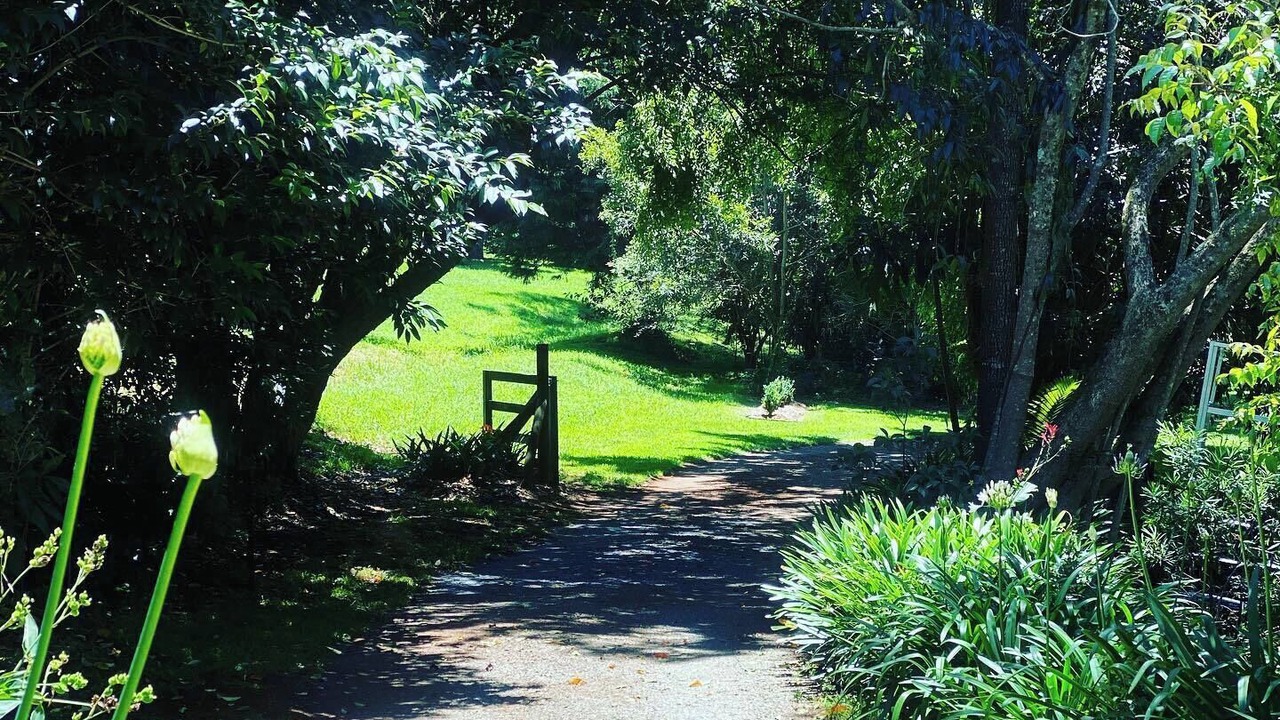 Photo of Outdoor in North Tamborine