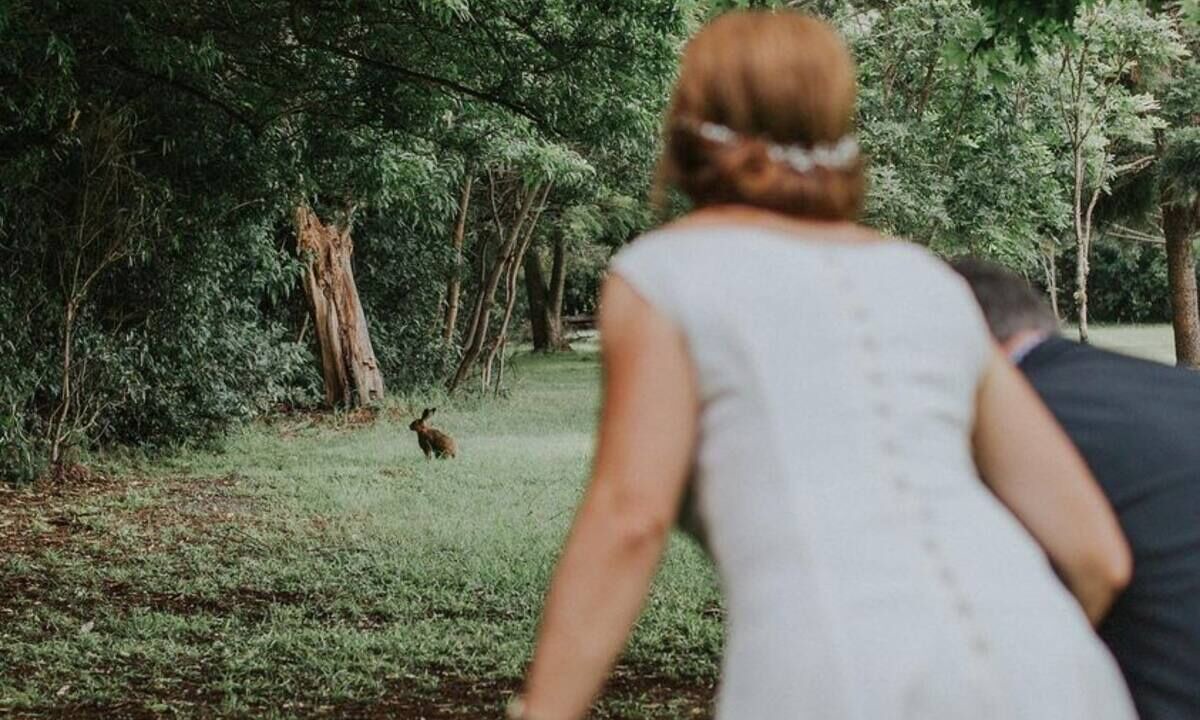 Photo of Others in North Tamborine