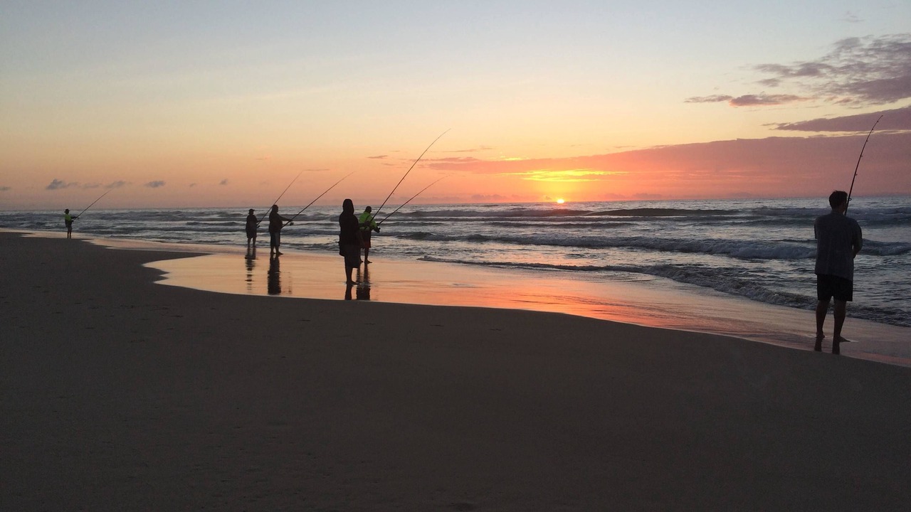 Photo of Others in Kingfisher Bay