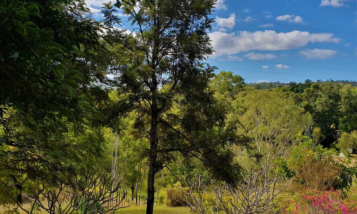 Photo of Others in Mount Morgan