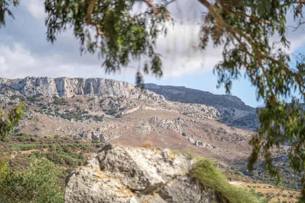 Photo of Others in Sitia