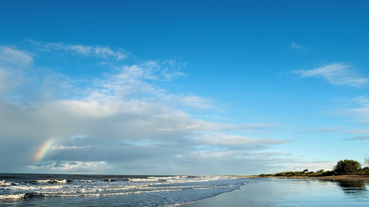 Photo of Others in Moore Park Beach