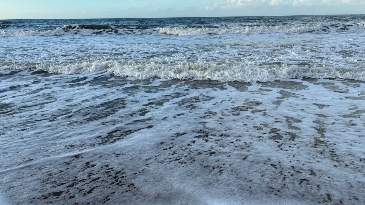 Photo of Others in Moore Park Beach