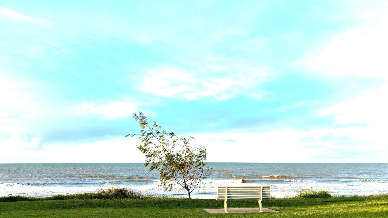 Photo of Others in Moore Park Beach