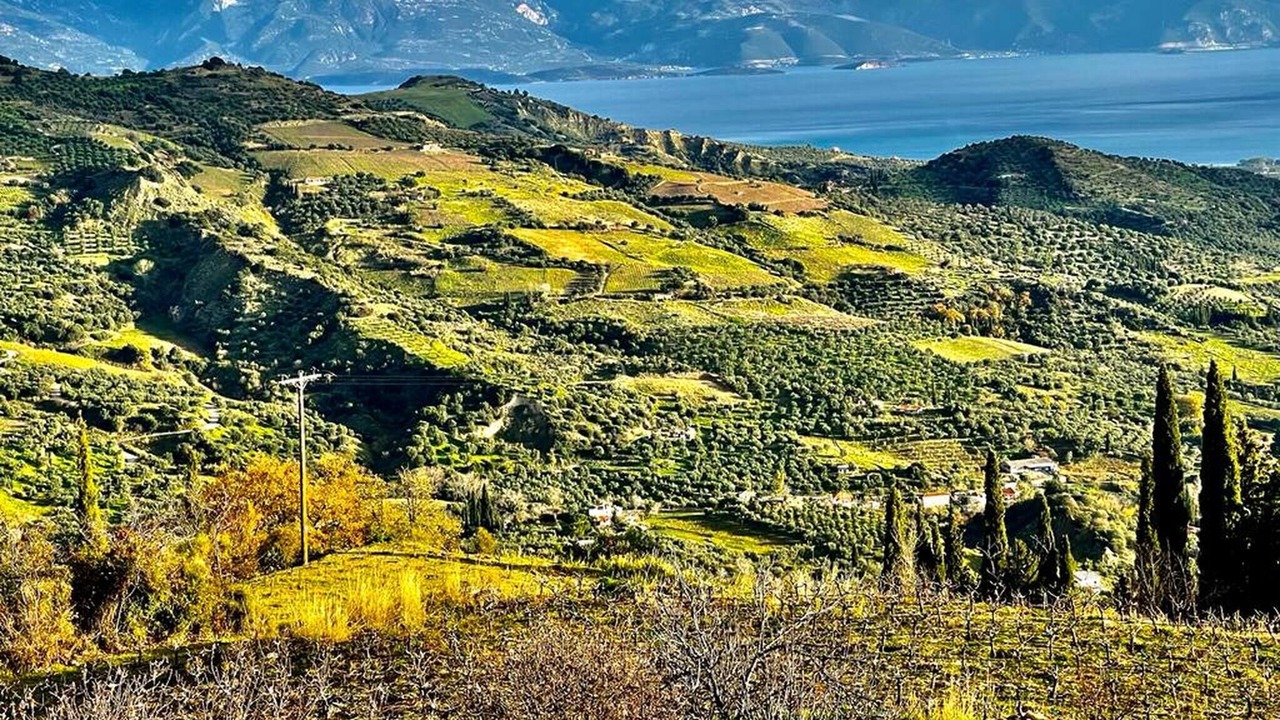 Photo of Others in Lakka