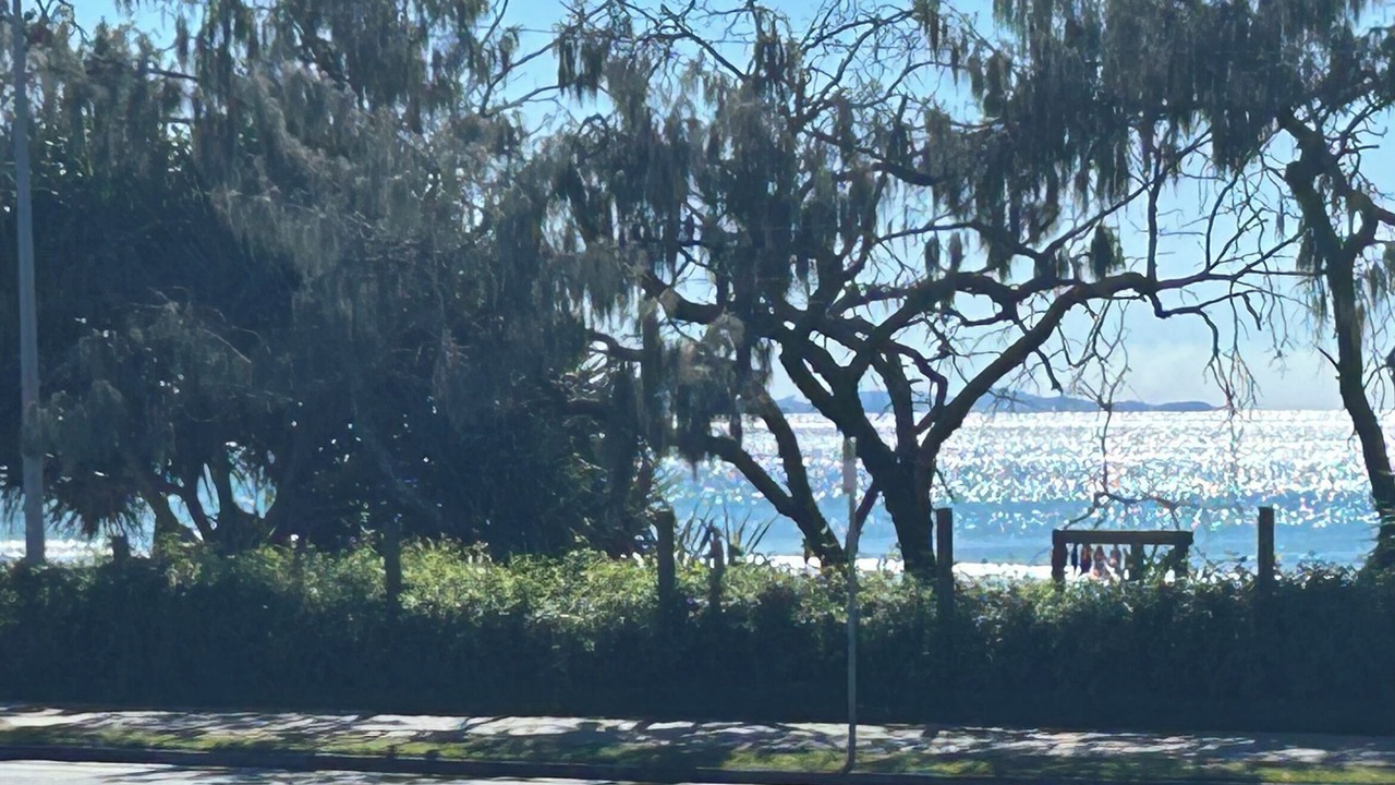 Photo of Others in Sunshine Coast