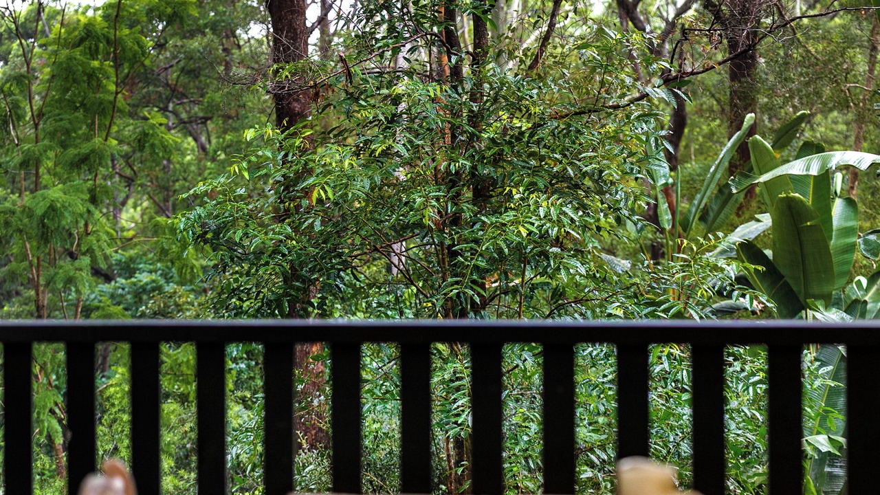 Photo of Outdoor in Doonan