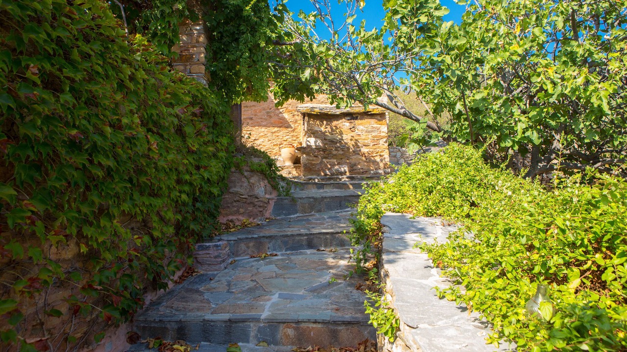 Photo of Outdoor in Steni Dirfyos