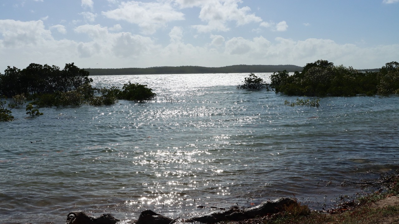 Photo of Others in Turkey Beach
