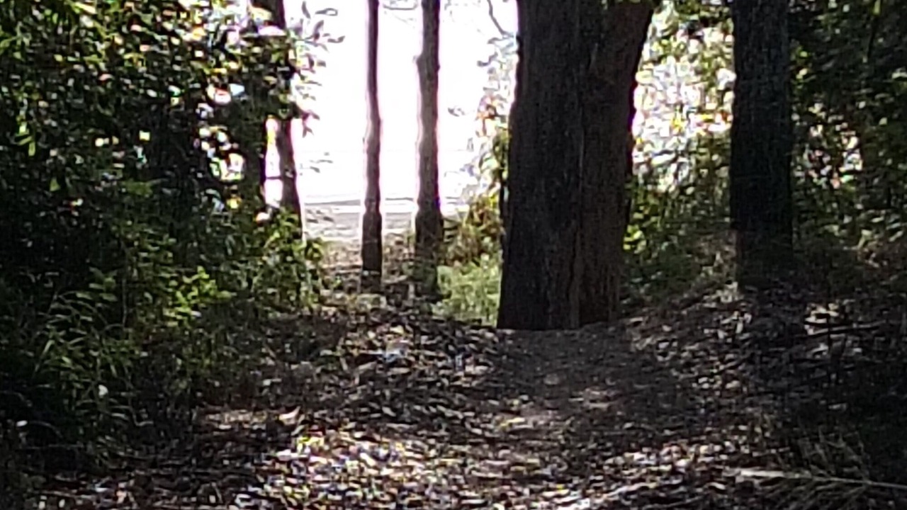 Photo of Others in Toogoom