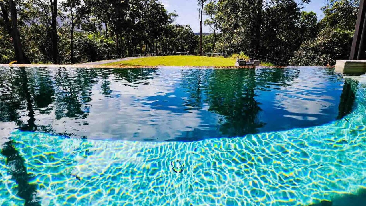 Photo of Outdoor in Lower Daintree
