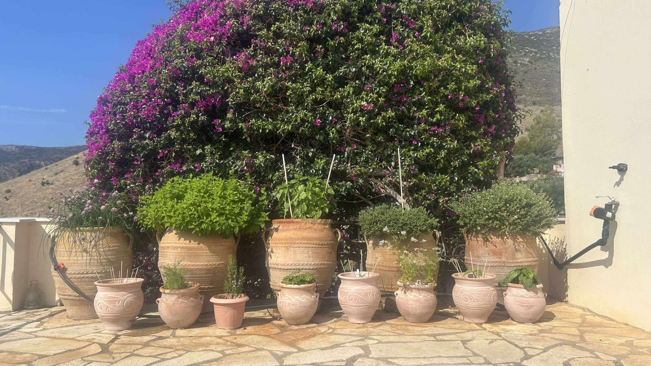 Photo of Outdoor in Galaxidi