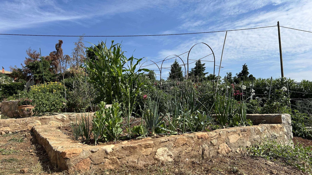 Photo of Outdoor in Galaxidi